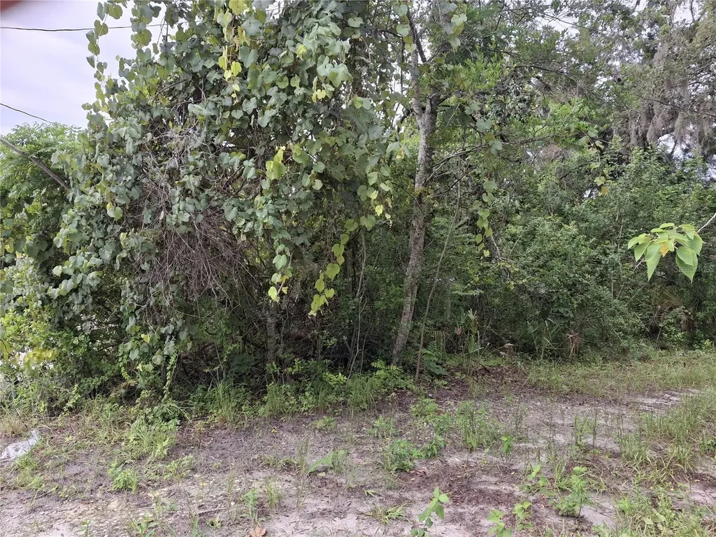 15371 Winner Lane Hudson FL 34667