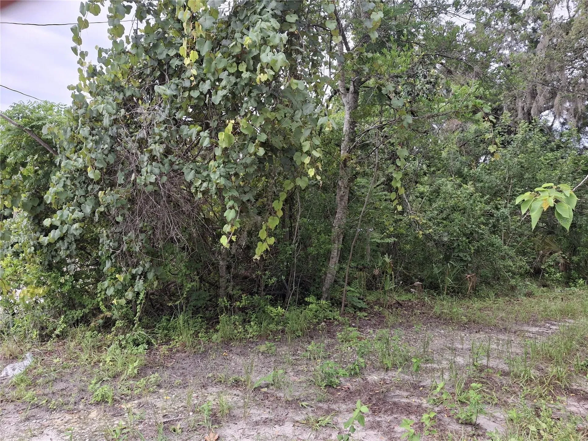 15371 Winner Lane Hudson FL 34667