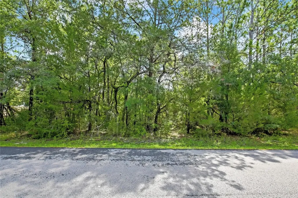 0 English Sparrow Road Weeki Wachee FL 34614