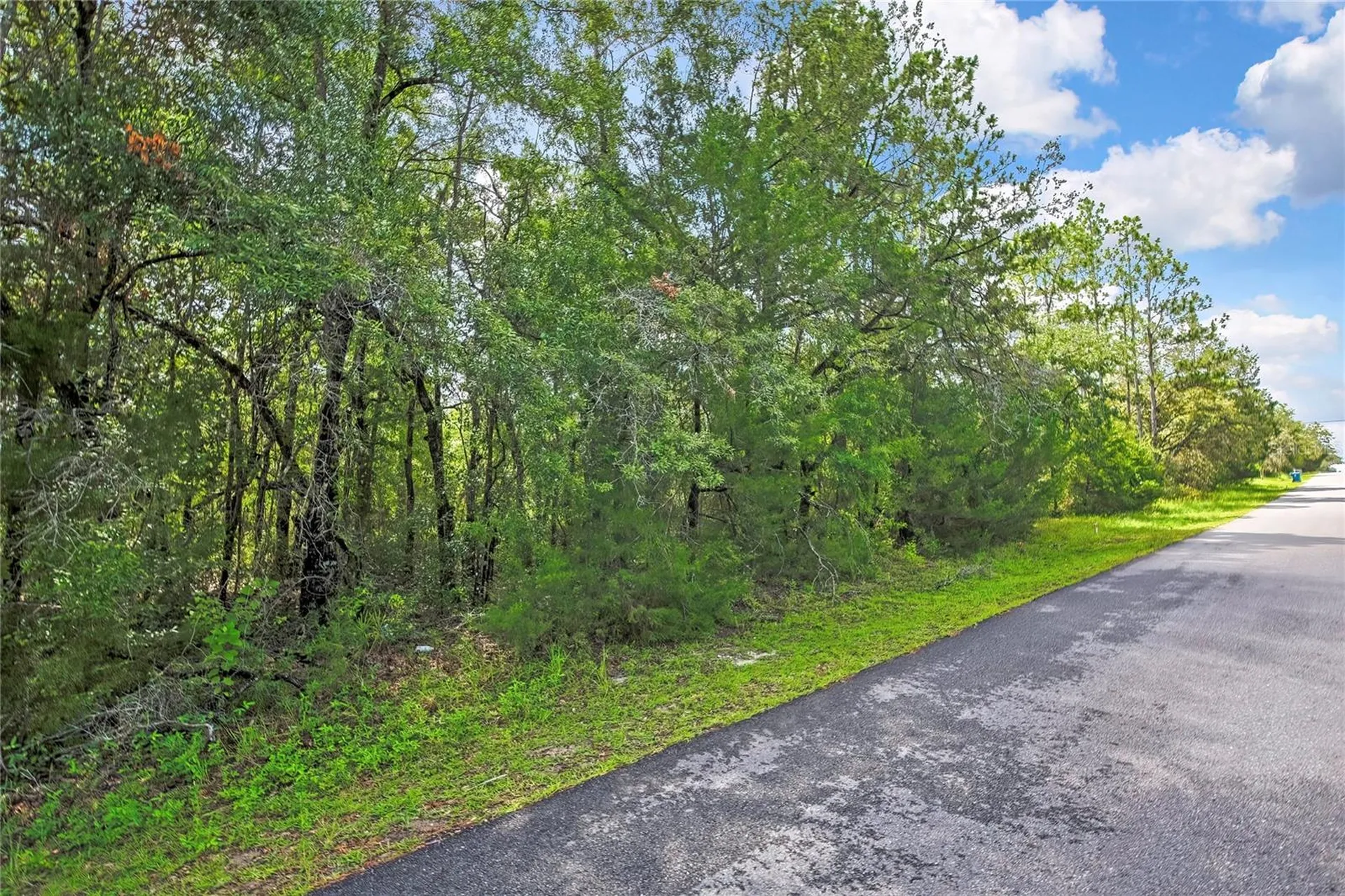 0 English Sparrow Road Weeki Wachee FL 34614
