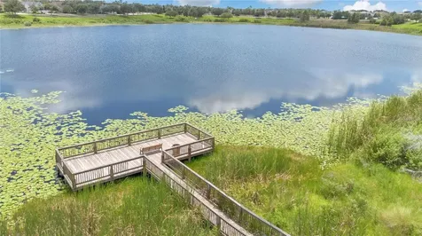 15568 Blackbead Street Winter Garden FL 34787