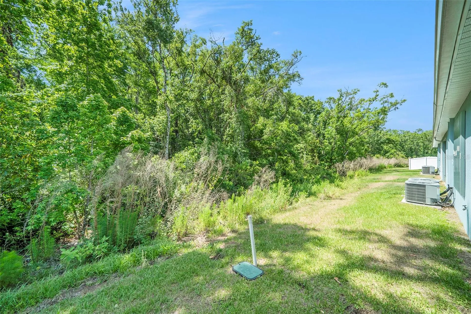 12264 Grizzly Lane New Port Richey FL 34654