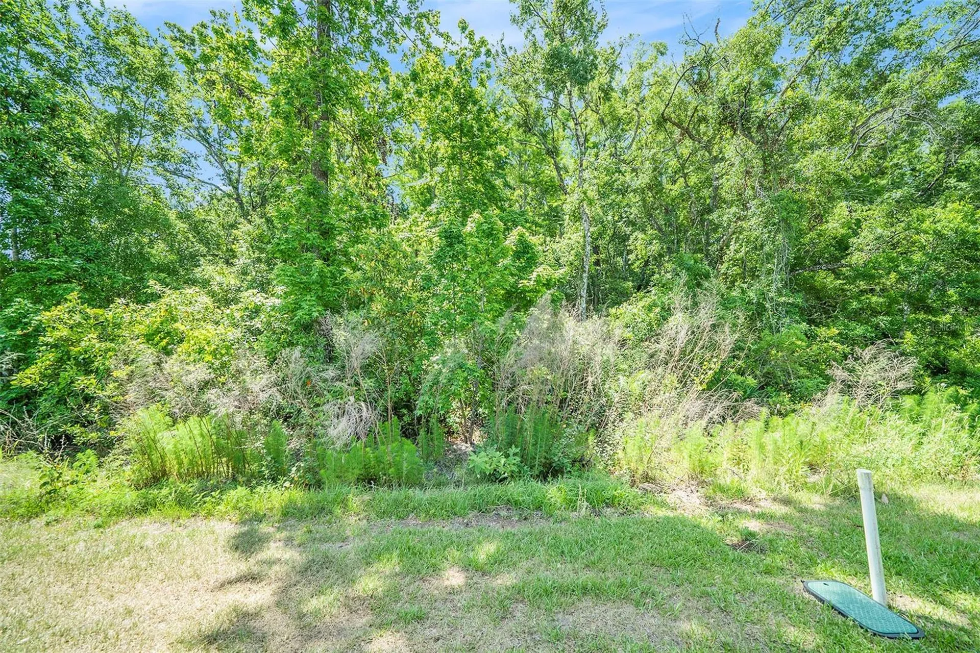 12264 Grizzly Lane New Port Richey FL 34654