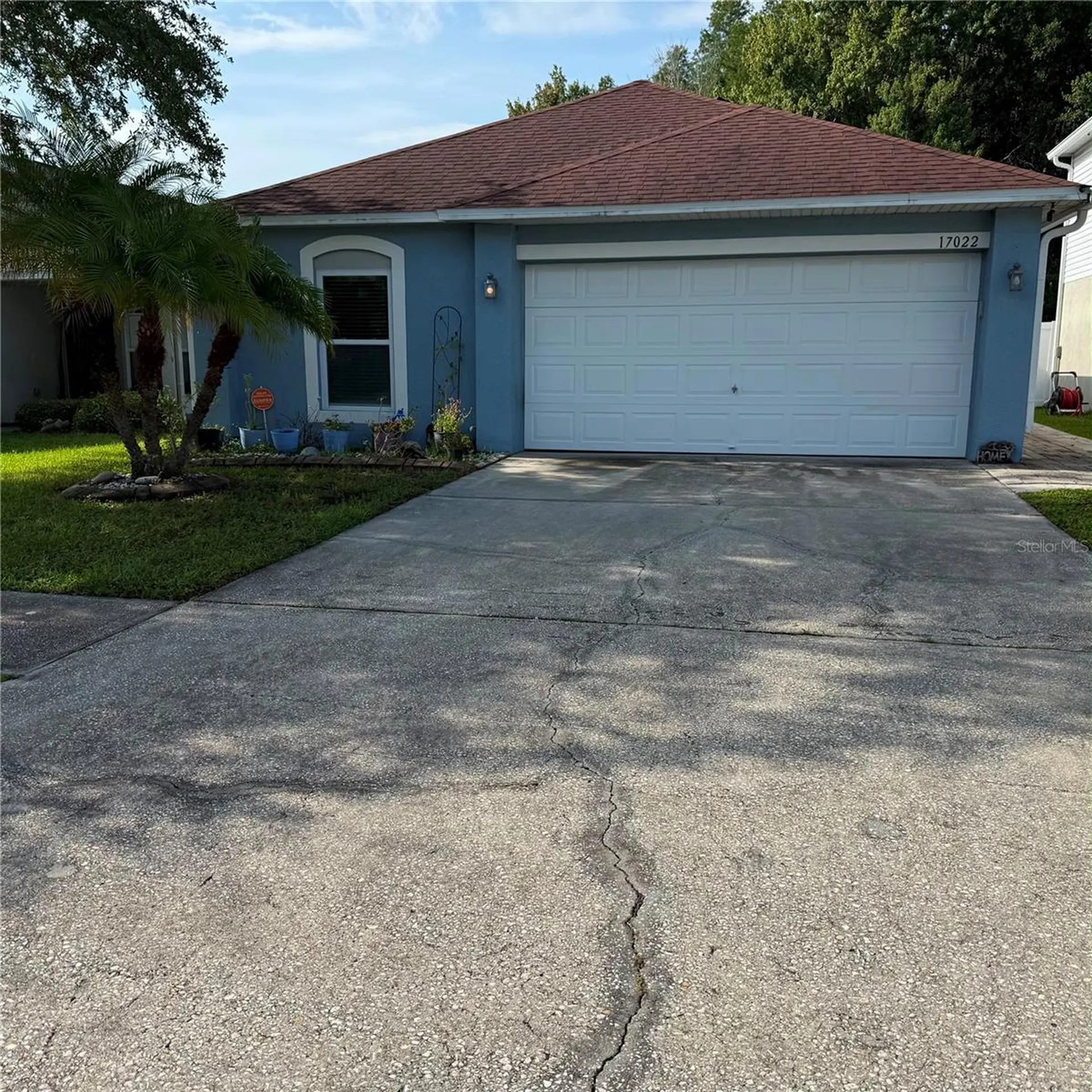 17022 Holmby Court Land O Lakes FL 34638