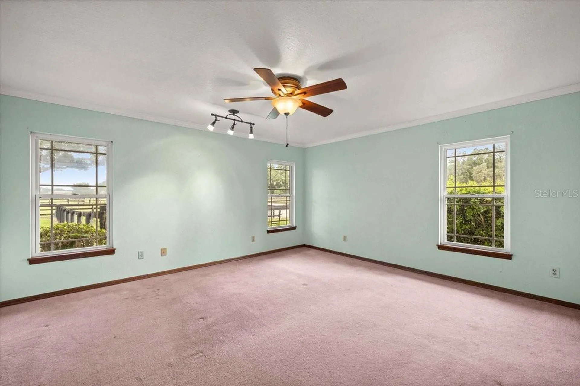 5065 NW 150th Avenue Morriston FL 32668