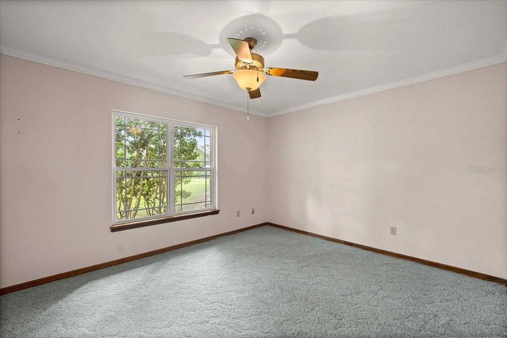 5065 NW 150th Avenue Morriston FL 32668