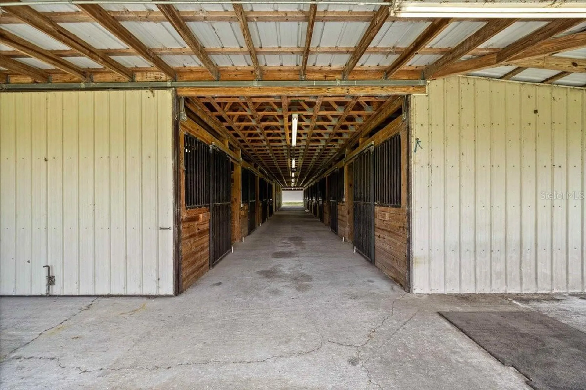 5065 NW 150th Avenue Morriston FL 32668