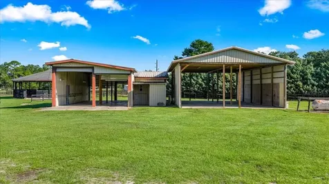 5065 NW 150th Avenue Morriston FL 32668