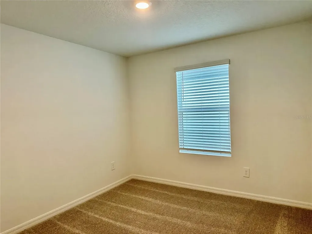 8842 Dusty Lane New Port Richey FL 34655