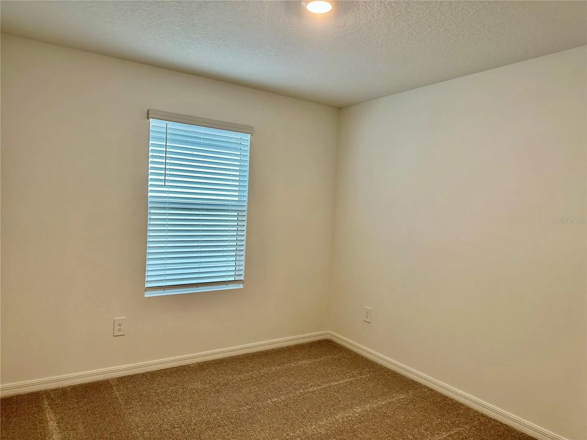 8842 Dusty Lane New Port Richey FL 34655
