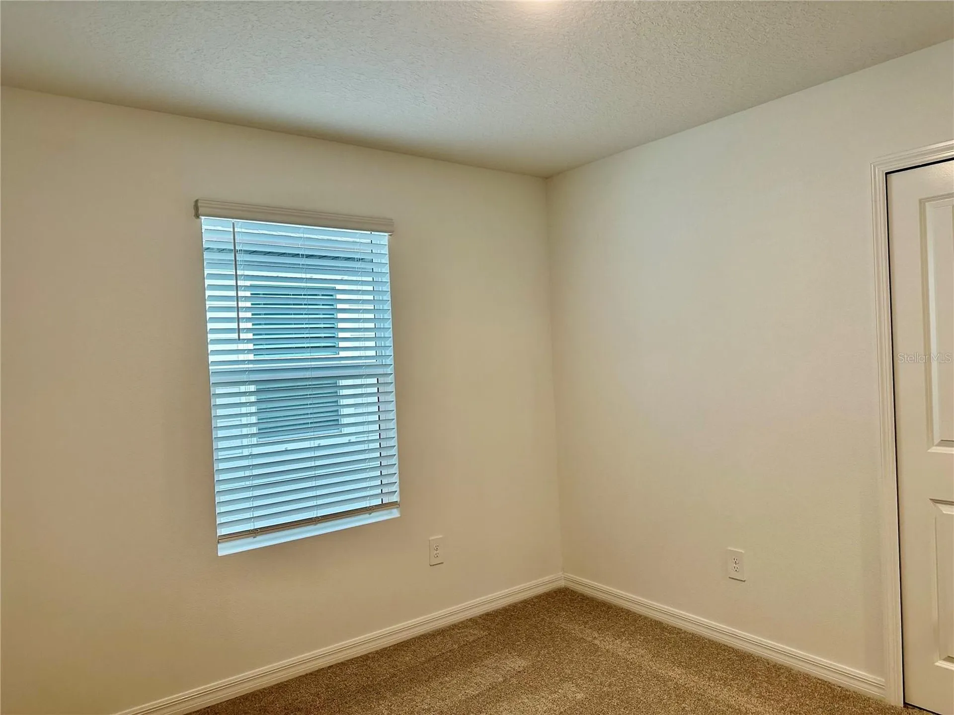 8842 Dusty Lane New Port Richey FL 34655