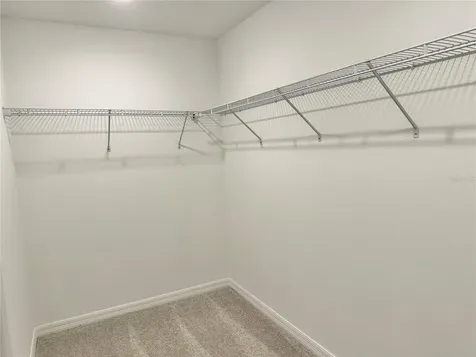 8842 Dusty Lane New Port Richey FL 34655