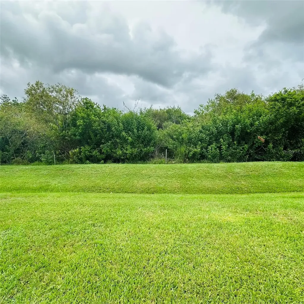 13412 SW Pembroke Circle N Lake Suzy FL 34269