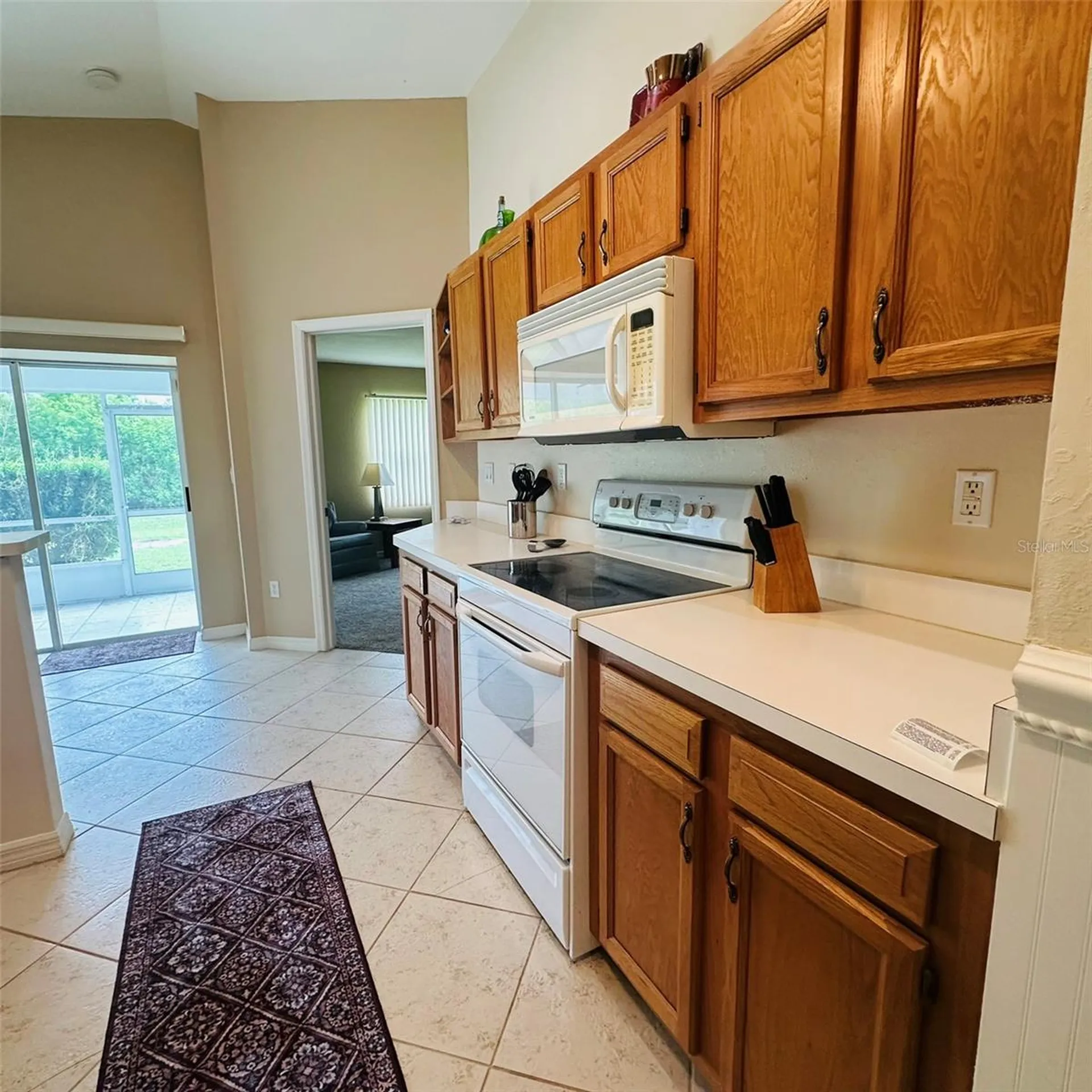 13412 SW Pembroke Circle N Lake Suzy FL 34269