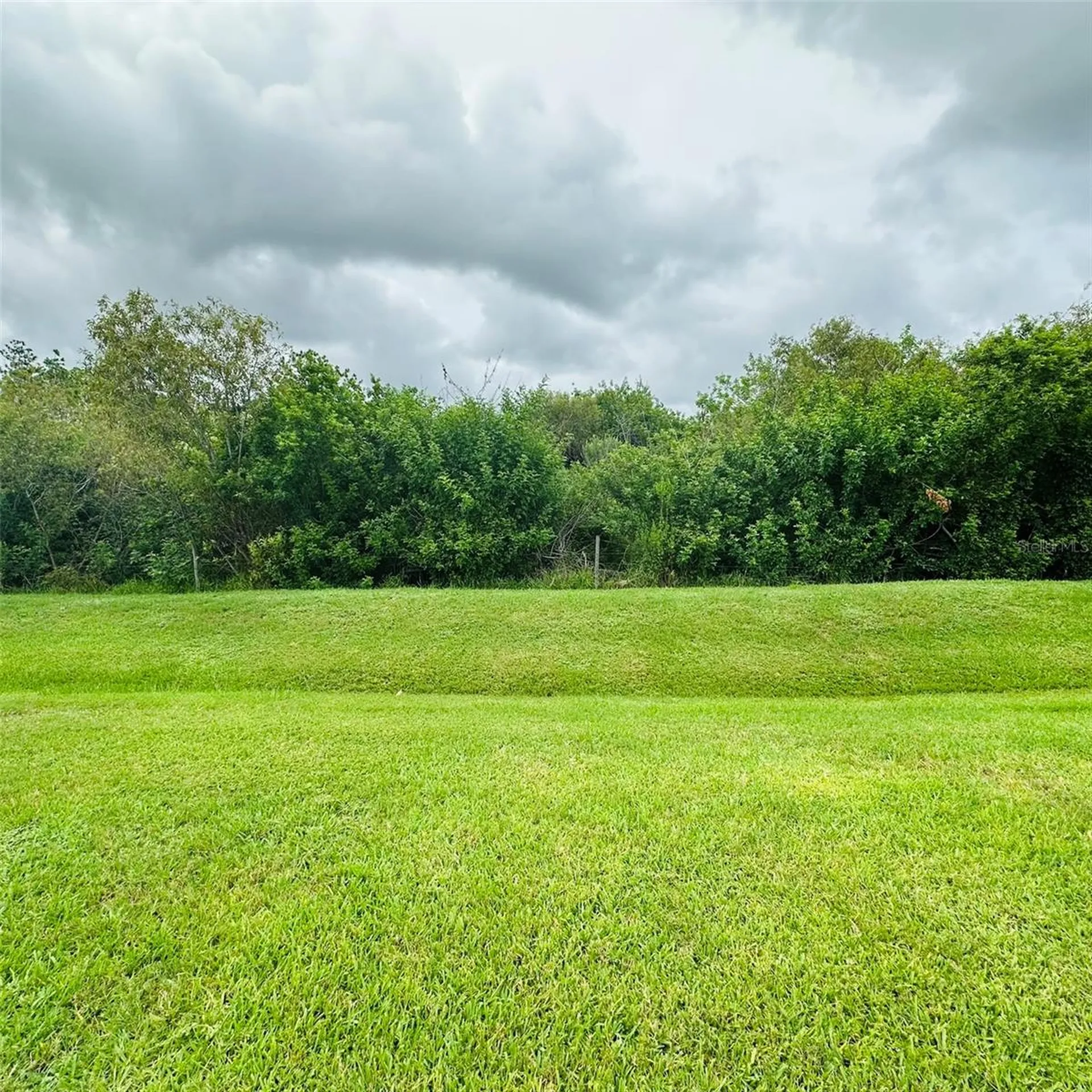 13412 SW Pembroke Circle N Lake Suzy FL 34269