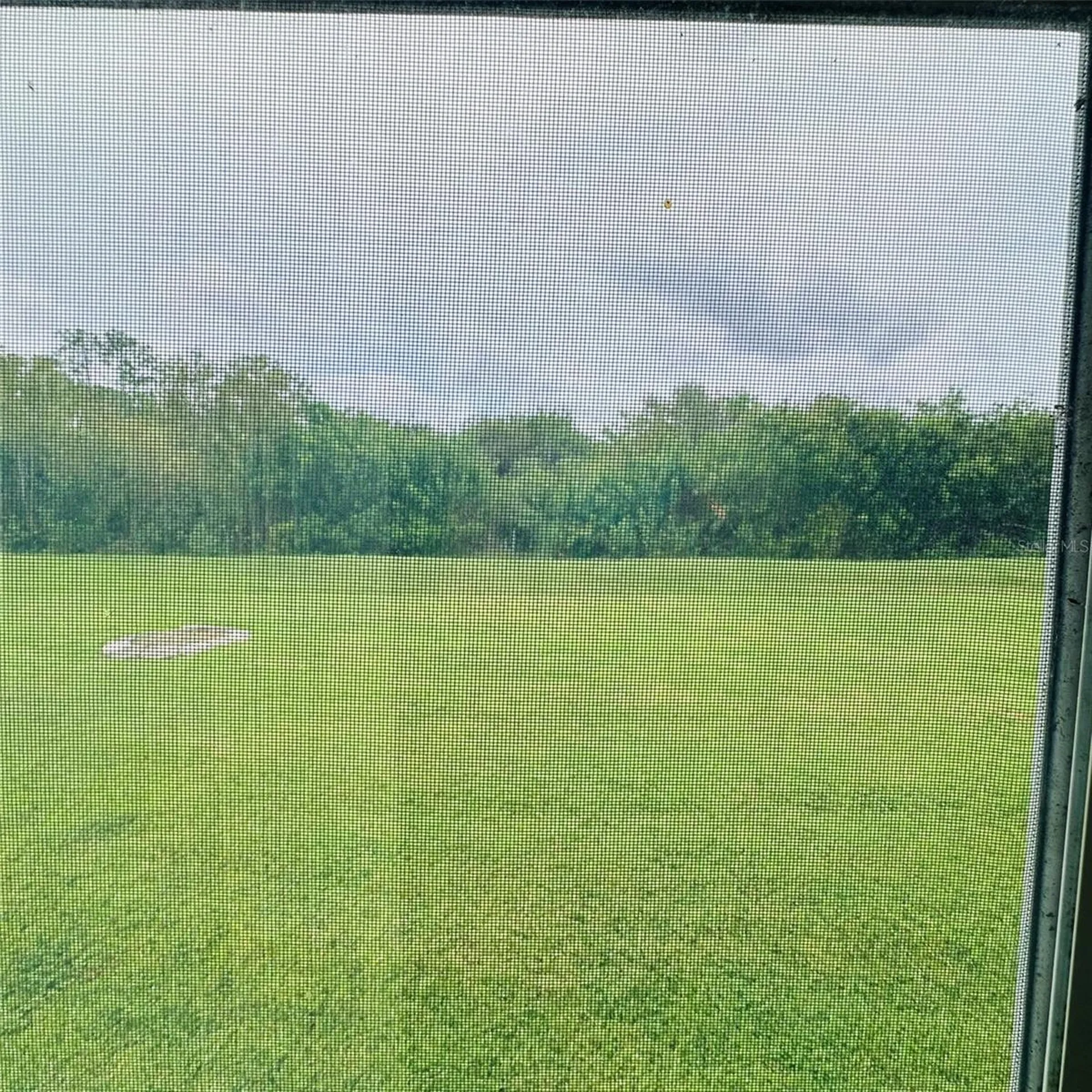 13412 SW Pembroke Circle N Lake Suzy FL 34269