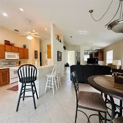 13412 SW Pembroke Circle N Lake Suzy FL 34269