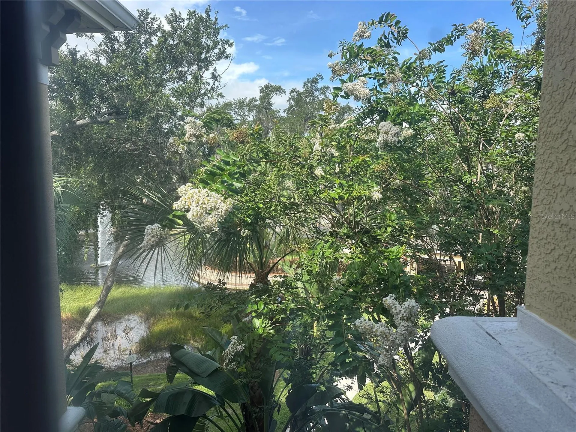 10021 Courtney Palms Boulevard Tampa FL 33619