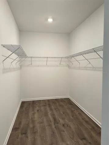 5043 Lake Hamlin Trail Winter Garden FL 34787