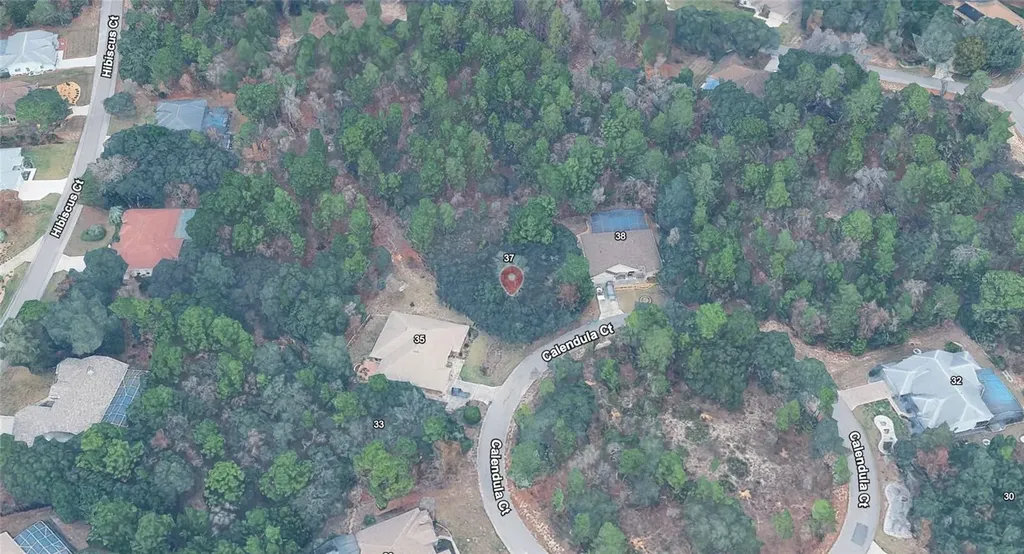 37 Calendula Court Homosassa FL 34446