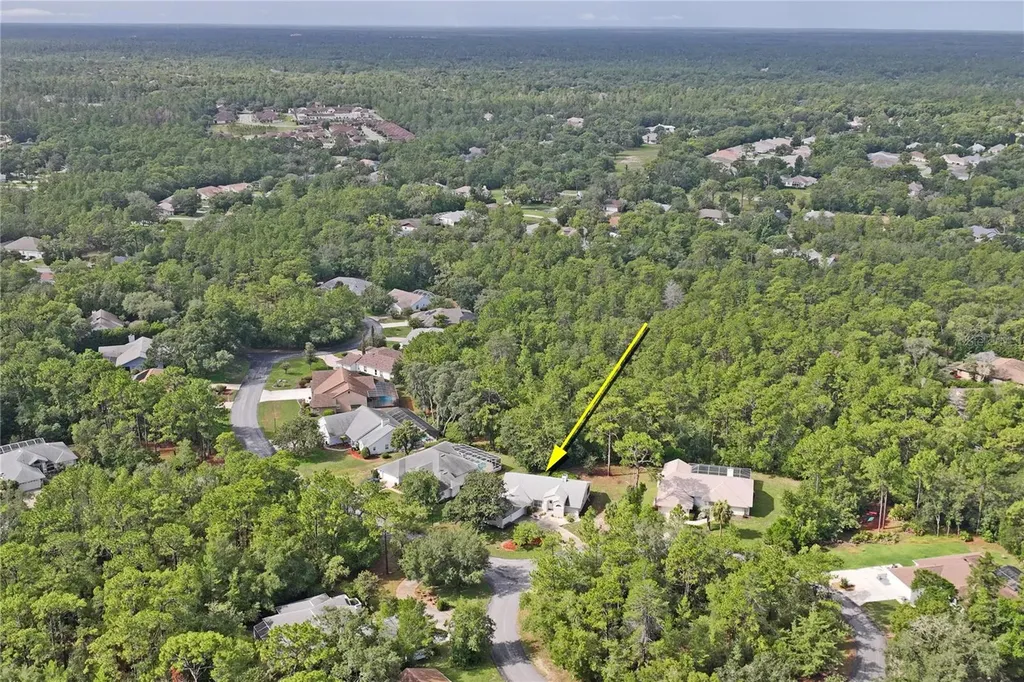 4 Spruce Pine Court N Homosassa FL 34446