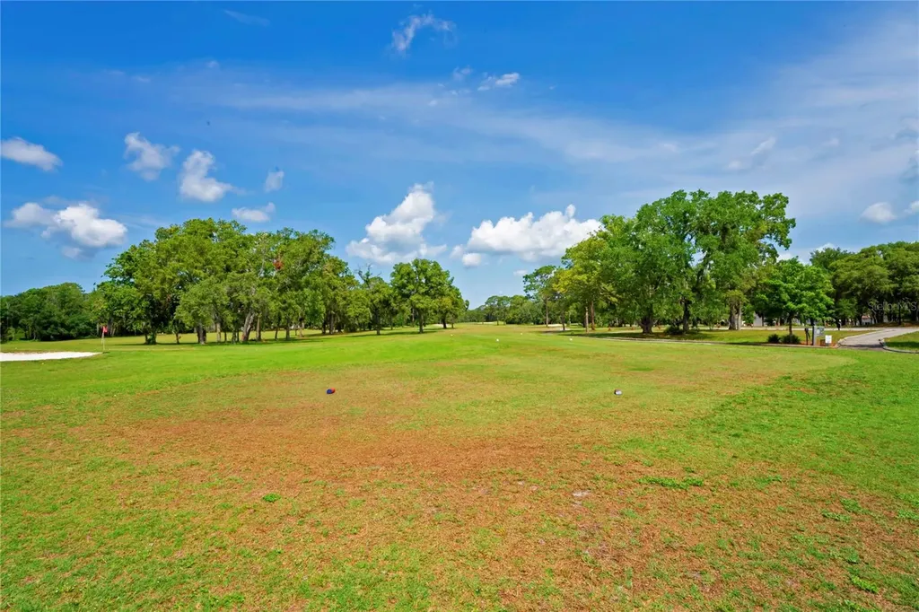 4 Spruce Pine Court N Homosassa FL 34446