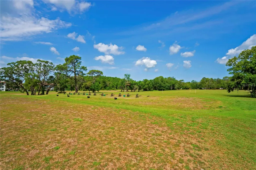 4 Spruce Pine Court N Homosassa FL 34446