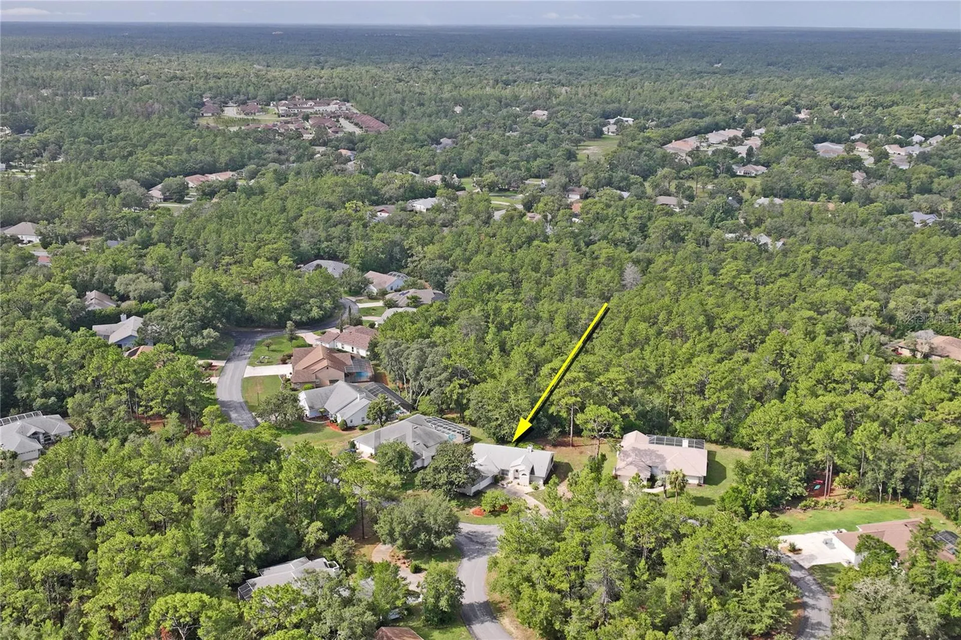 4 Spruce Pine Court N Homosassa FL 34446