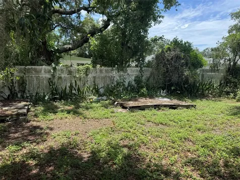 2609 E Emma Street Tampa FL 33610