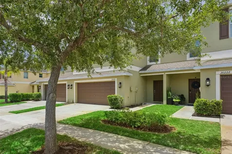 20220 Pond Apple Lane Tampa FL 33647