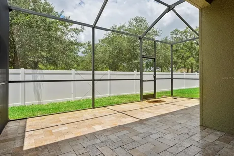 20220 Pond Apple Lane Tampa FL 33647