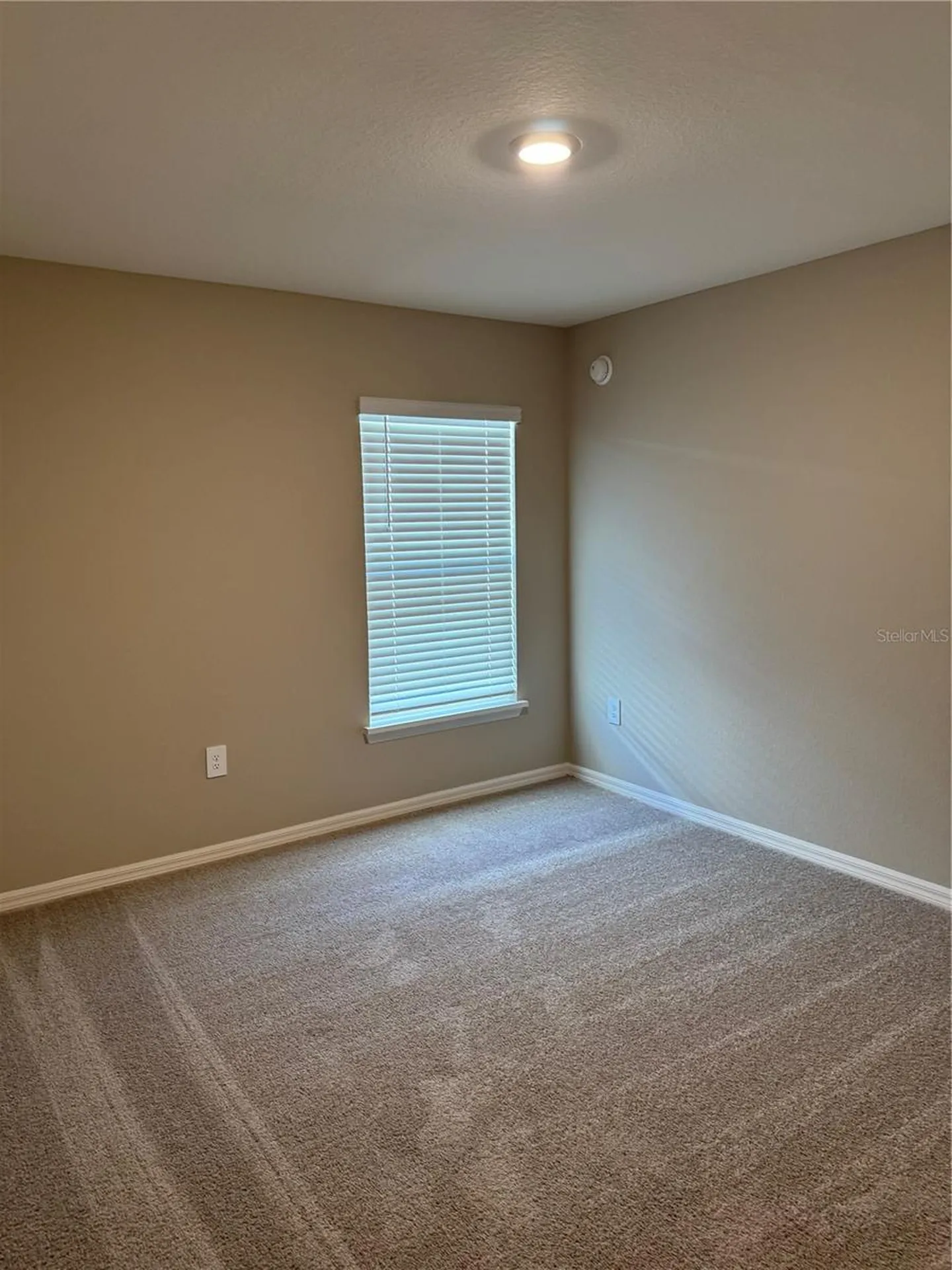 3902 Wrenwood Drive Lakeland FL 33811