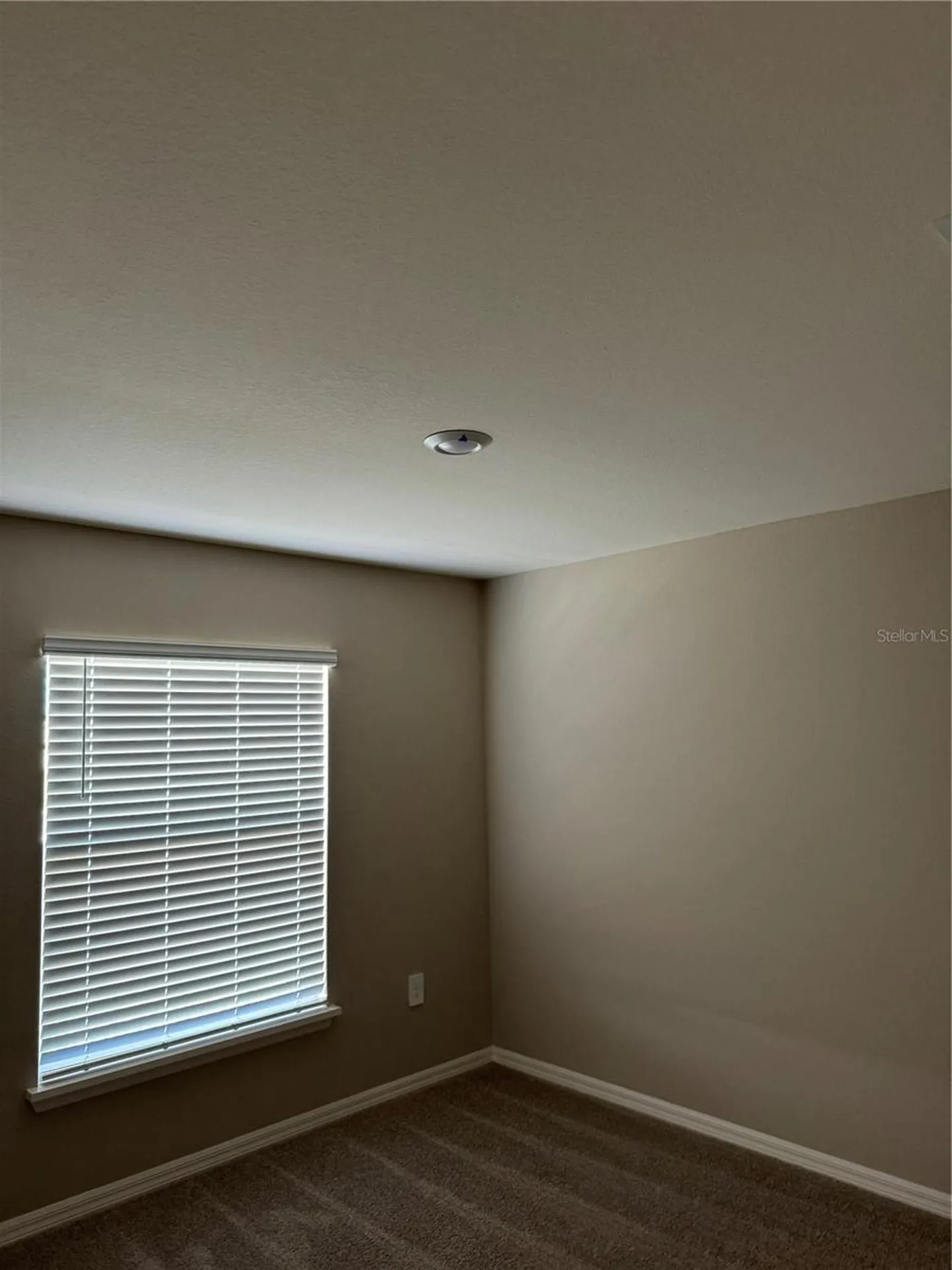3902 Wrenwood Drive Lakeland FL 33811