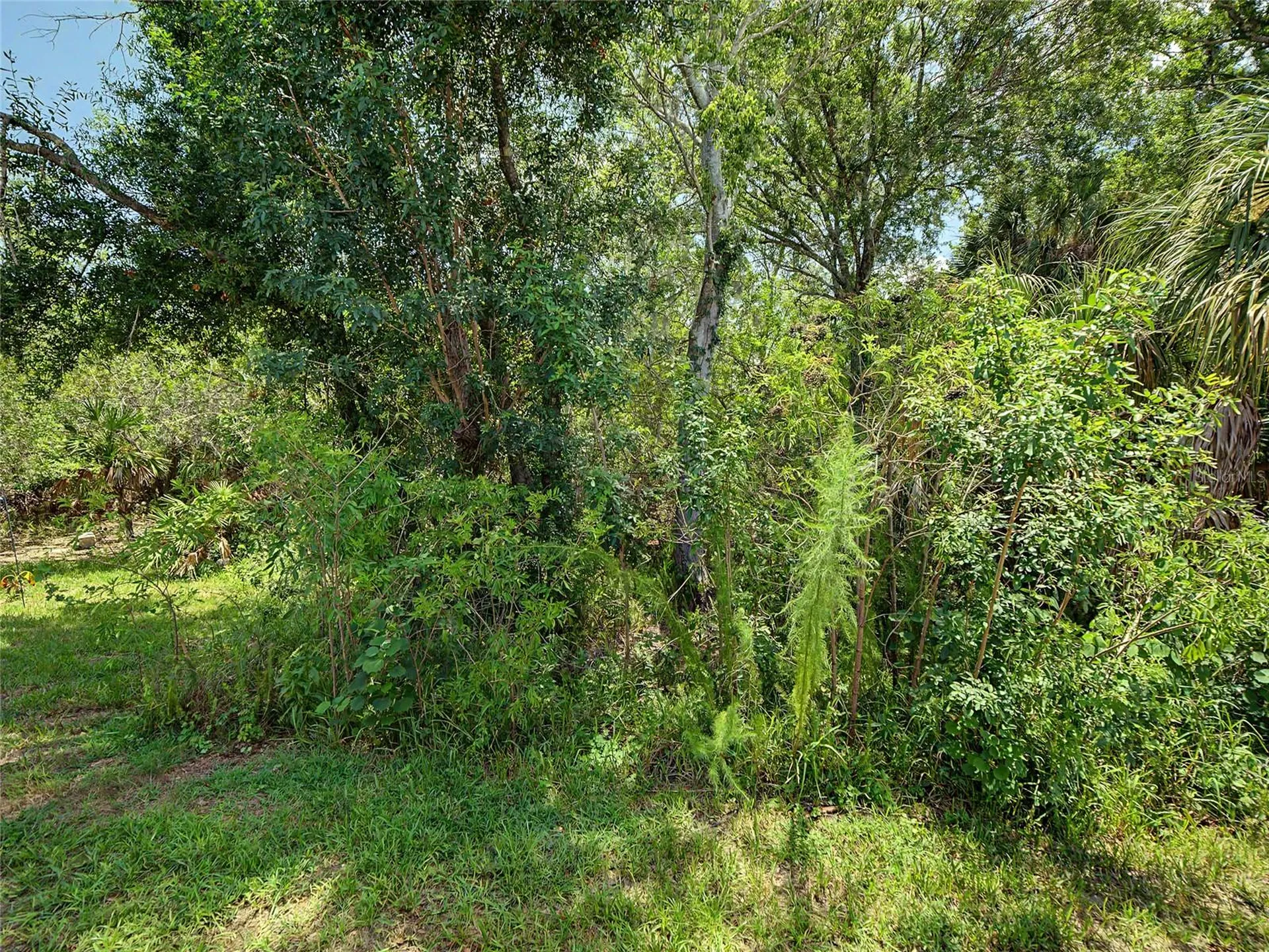 2005 Gardenia Landings Lane Sun City Center FL 33573