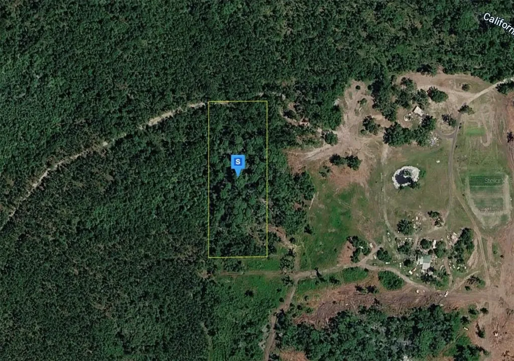 15701 Us-19 Perry FL 32348