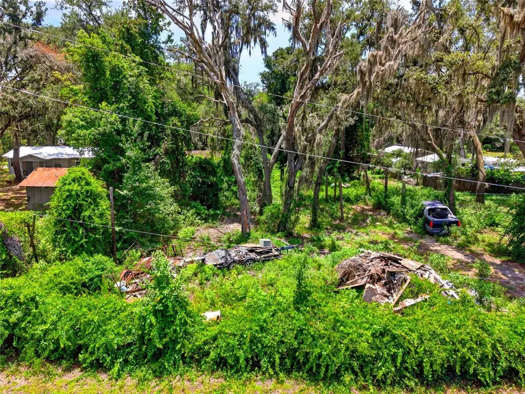 18938 SE 105th Lane Ocklawaha FL 32179