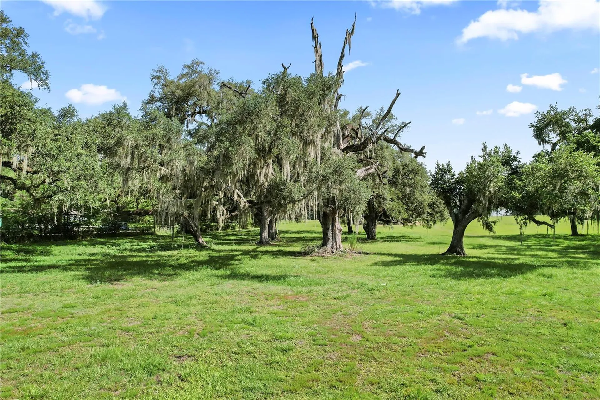 37952 Crystal Way Dade City FL 33523