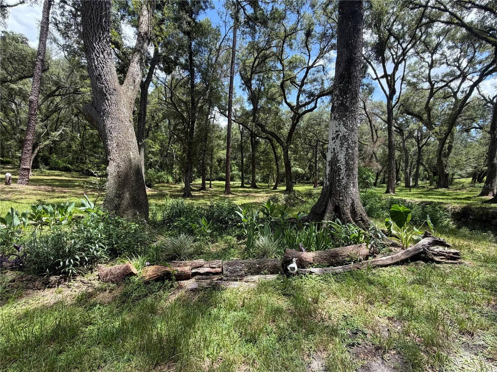 4875 SW County Road 240 Lake City FL 32024