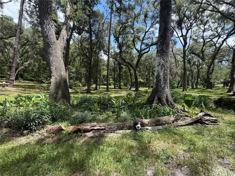 4875 SW County Road 240 Lake City FL 32024
