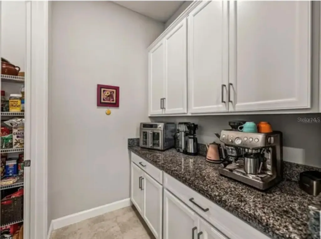 16959 Scuba Crest Street Wimauma FL 33598