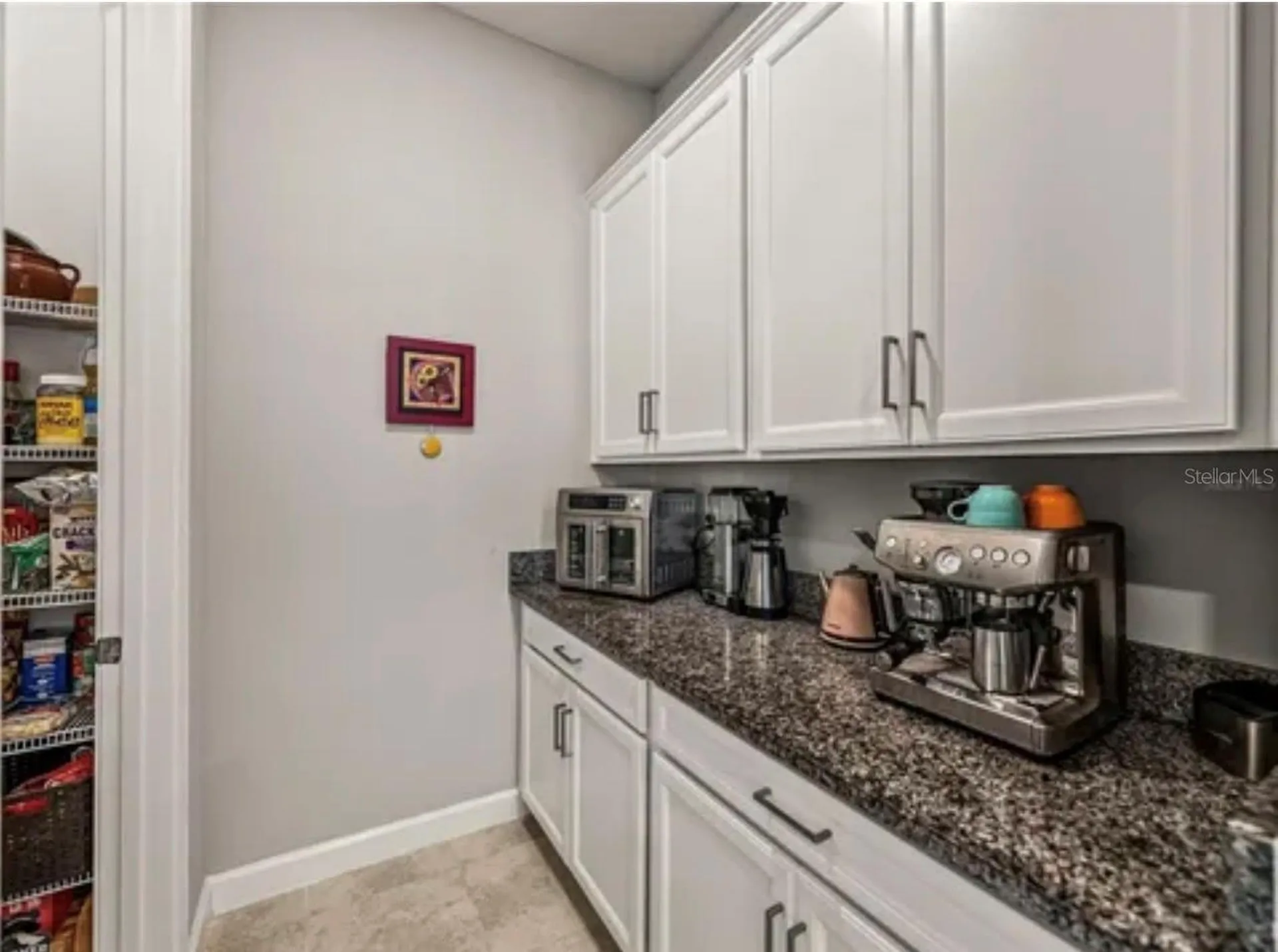 16959 Scuba Crest Street Wimauma FL 33598