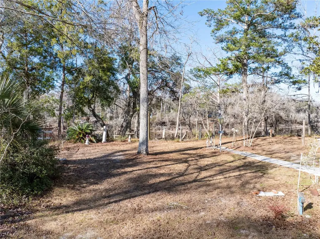30009 81st Place Branford FL 32008