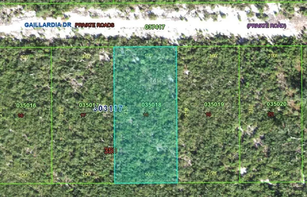 Gallardia Drive Indian Lake Estates FL 33855