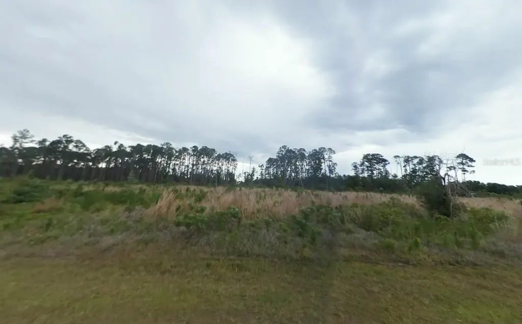 Gallardia Drive Indian Lake Estates FL 33855