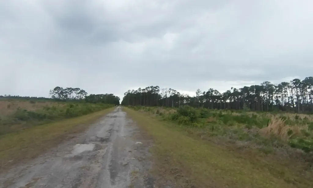 Gallardia Drive Indian Lake Estates FL 33855