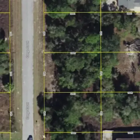 1344 Congo Court Poinciana FL 34759