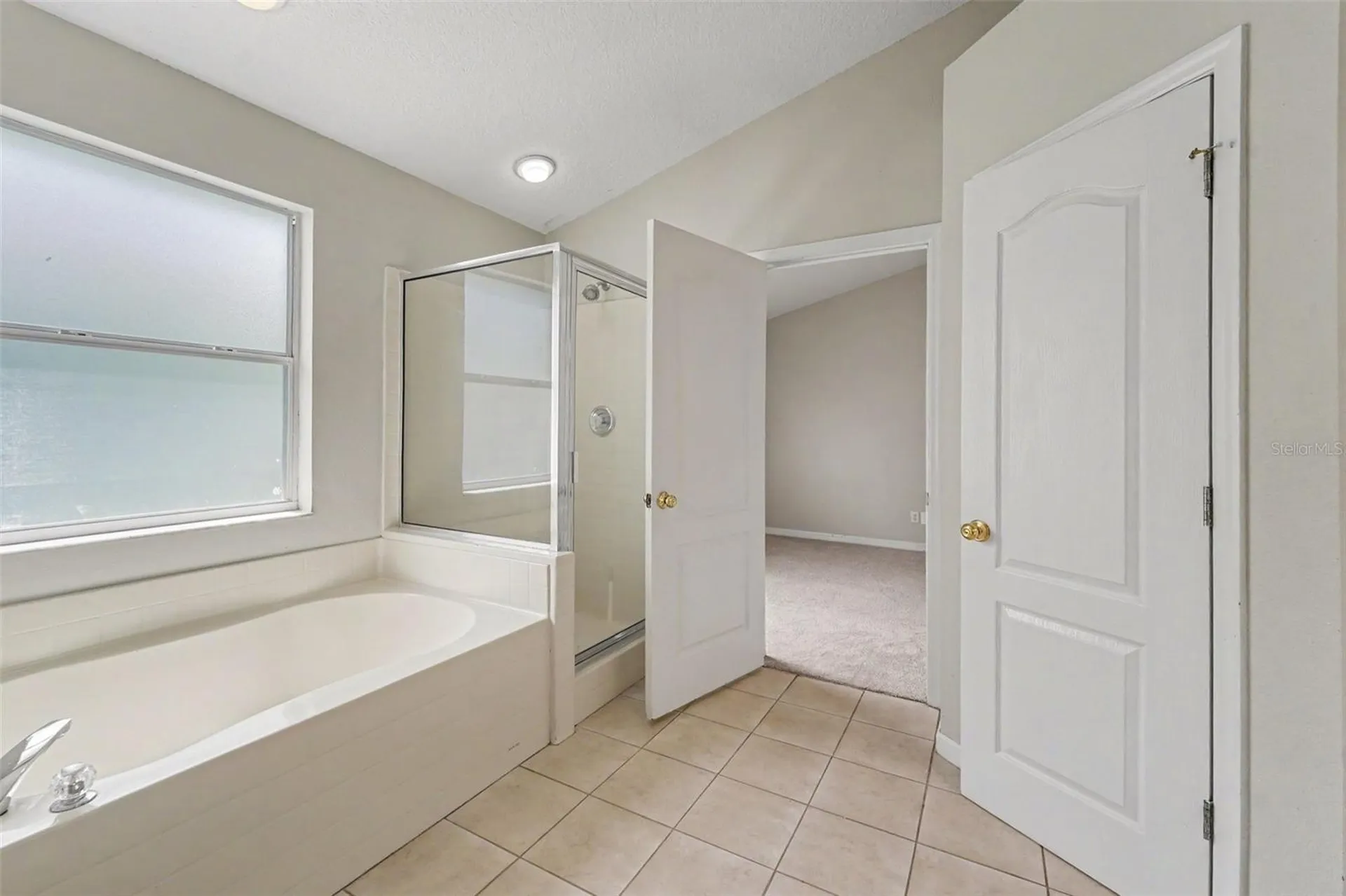 22901 Hawk Hill Loop Land O Lakes FL 34639