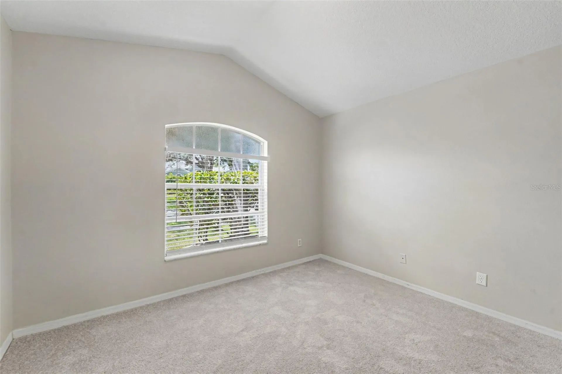 22901 Hawk Hill Loop Land O Lakes FL 34639
