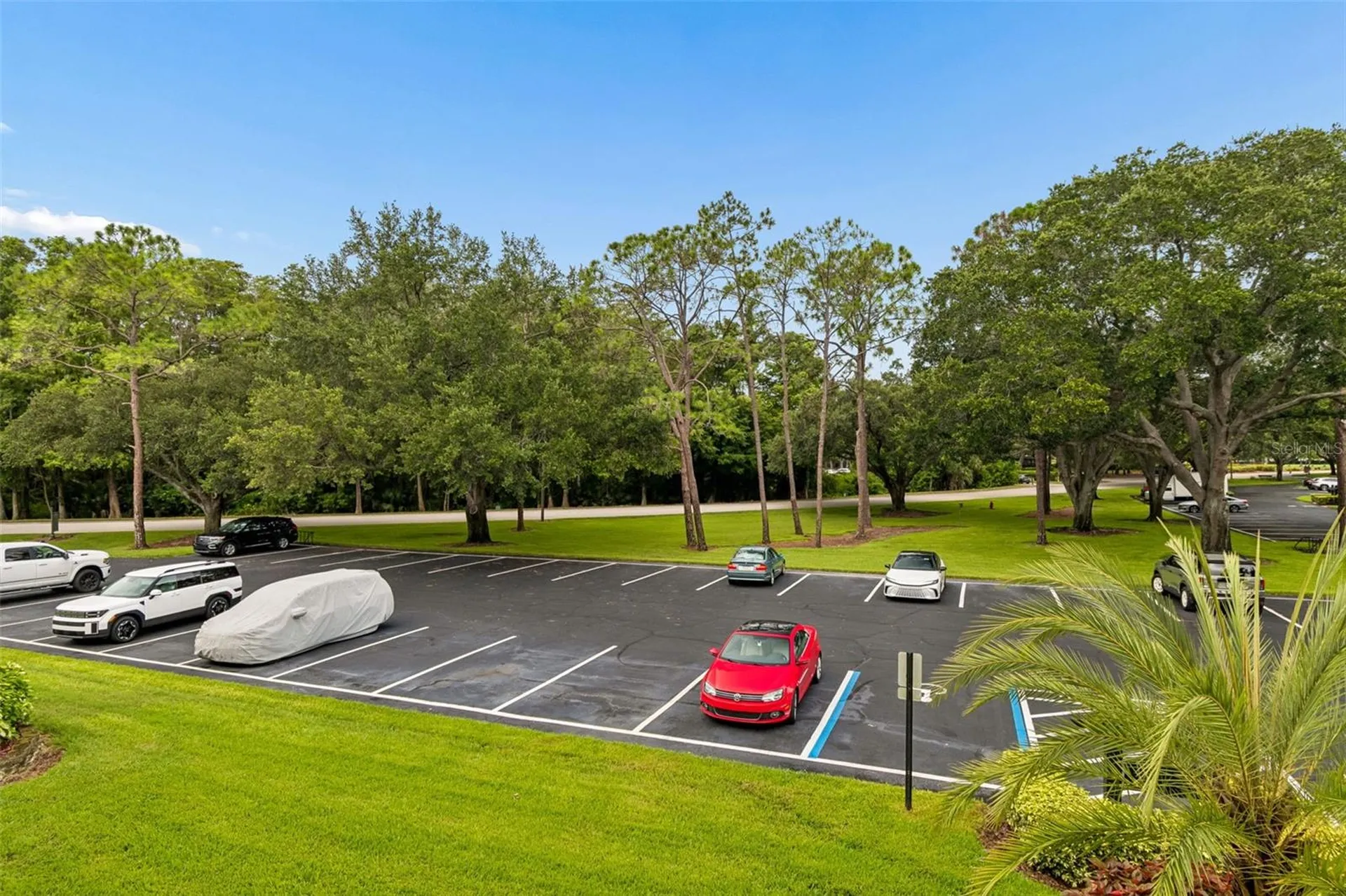 36750 Us Highway 19 N Palm Harbor FL 34684