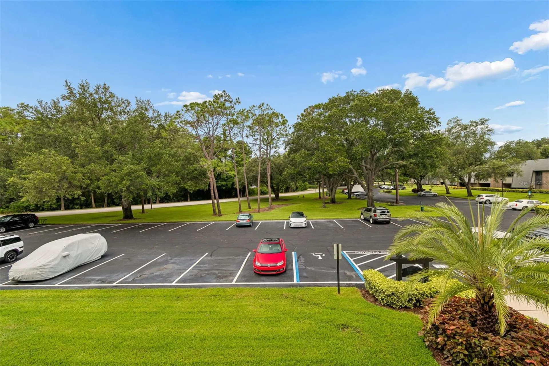 36750 Us Highway 19 N Palm Harbor FL 34684